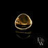 9ct Yellow Gold Royal Lion Signet Ring