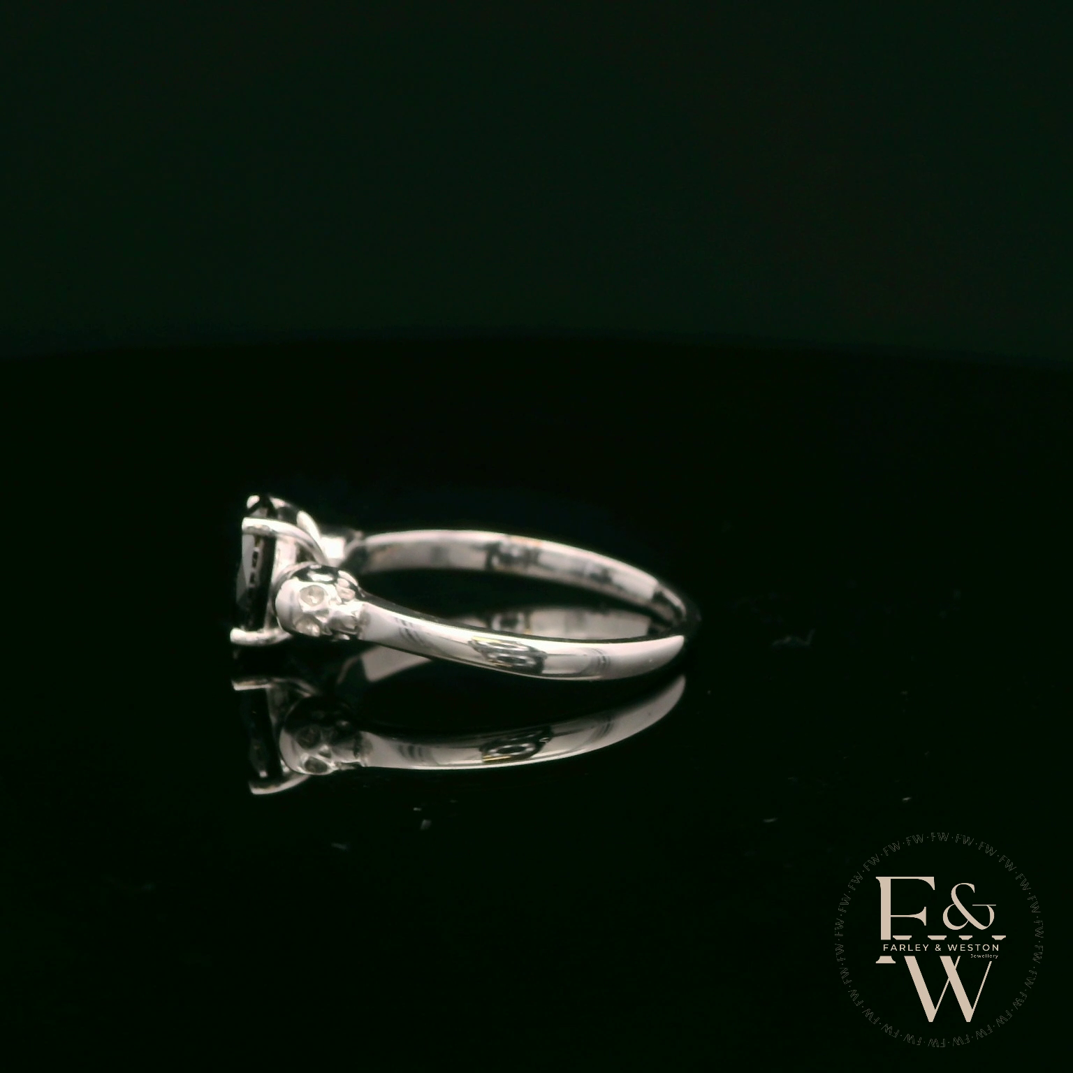 9ct White Gold Skull Shoulder Black CZ Solitaire Ring