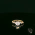 9ct Yellow Gold Solitaire White Moissanite with Fancy Stone Set Shoulders