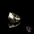 Silver Prince of Wales Signet Ring