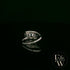 Double Moissanite & 9ct White Gold Ring
