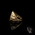 9ct Yellow Gold Royal Lion Signet Ring