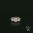 9ct Yellow Gold & Three Stone Moissanite Ring