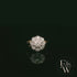 18ct White & Yellow Gold Round-Cut Floral Design Diamond Ring
